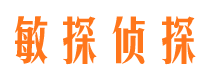 高坪市侦探公司